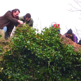 So in 2015 we set to work